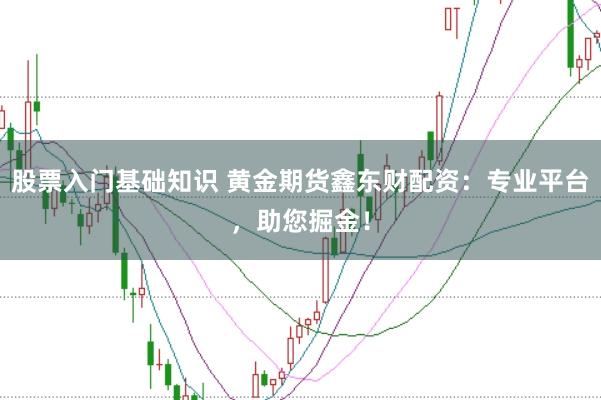 股票入门基础知识 黄金期货鑫东财配资：专业平台，助您掘金！