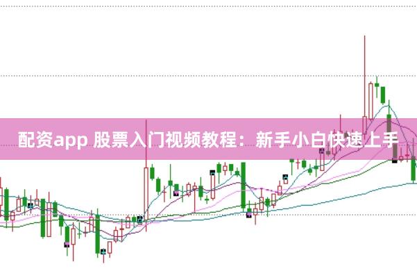 配资app 股票入门视频教程：新手小白快速上手