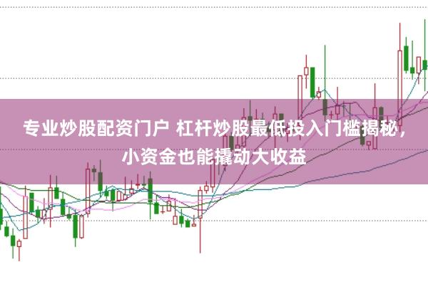 专业炒股配资门户 杠杆炒股最低投入门槛揭秘，小资金也能撬动大收益