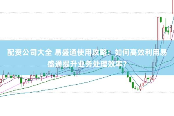 配资公司大全 易盛通使用攻略：如何高效利用易盛通提升业务处理效率？