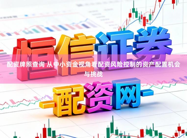 配资牌照查询 从中小资金视角看配资风险控制的资产配置机会与挑战